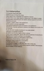 Ottimi lavori al Liceo Scientifico "Enrico Fermi" 