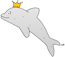 Re delfino Re delfino