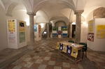 Str...Abilian...te - a Trento una Mostra dedicata 