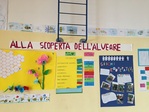 Istituto Comprensivo Trento 7 - Gardolo (TN) - A.S
