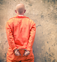 Licenza Fotolia 1